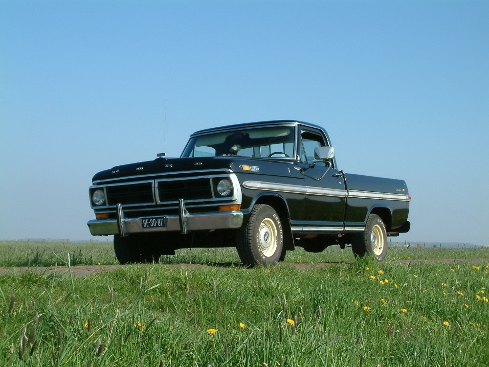 Ford F100